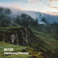 Insects by the Forest - Nature Sounds Nature Music & The Outdoor Library & Rivers and Streams