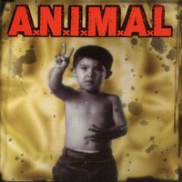 Los que marcan el camino - A.N.I.M.A.L. & Richard Kaplan & Chuck Jhonson and Juan Jose Burgos