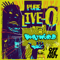 Halloween Hype Pt 2 - Phatworld