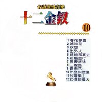 什麼叫做愛 - Qing Chi Liu