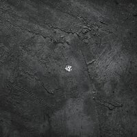 暗香疏影 - 弦外音