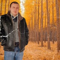Облетает листва с тополей - Дмитрий Гревцев