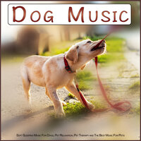 Dog Music For Pets - Dog Music & Music for Dogs & Dog Music Experience