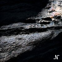 Morgendug - Noir