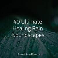 Wind, Rustling, Trees, Vegetation - Brown Noise & Asian Zen Spa Music Meditation & The Sleep Specialist