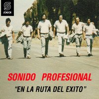 Brindo por Ella - Sonido Profesional
