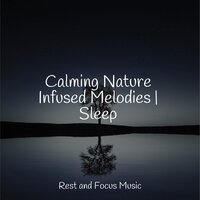 Clear and Cool - Life Sounds Nature & Yoga Soul & Ambientalism