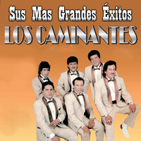 Amor Querido - Los Caminantes