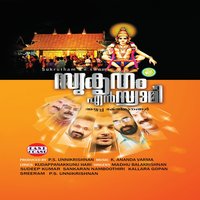 Harivarasanam - Unnikrishnan