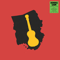 Alligator Pond - Ronnie Lion