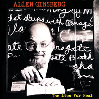 The Shrouded Stranger - Allen Ginsberg