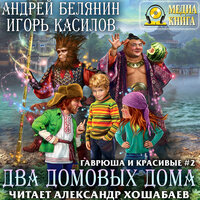 Андрей Белянин, Игорь Касилов. «Два домовых дома. Серия "Гаврюша и красивые". Книга #2.». Часть 19 - Александр Хошабаев