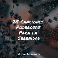 Relajación en Cascada - Academia de Música para Massagem Relaxamento & Musica Relajante Piano Master & Massagem