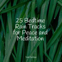 Rainy Ambience - Water Sound Natural White Noise & Oceanic Yoga Pros & The White Noise Zen & Meditation Sound Lab