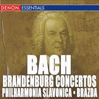 Brandenburg Concerto No. 1 in F Major, BWV 1046: III. Allegro - Philharmonia Slavonica & Karel Brazda & Johann Sebastian Bach