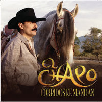 El Corrido Del Trailero - El Chapo