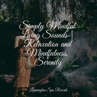 Forest Nature - Rain Forest FX & Relaxing Sounds of Nature & Ambient Music Therapy