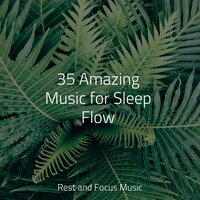 After the Rain - Exam Study Classical Music & Ruído branco & Deep Sleep Music Experience