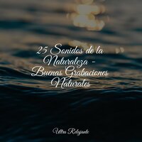 Atardecer Del Desierto - Escola de Meditação & Sonido de lluvia & Masajes Spa