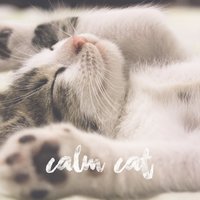 Soothing Pink Noise for Felines - Calm Cat