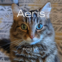 Aeris - Forest