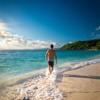 Una Melodía Que Reconforta La Mente - Descansar Musica & Tranquilidad Natural & Asistente musical de calma