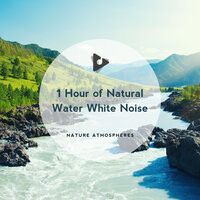 Peaceful Stream - Nature Atmospheres