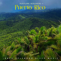 Vieques Rainforest by the Ocean - Inner Splendor Sleep Music & Vidura Barrios