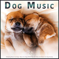 Music for Man's Best Friend - Sleeping Music For Dogs & Music for Dog's Ears & Dog Music Collective