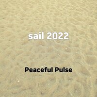 relax chasin - Peaceful Pulse