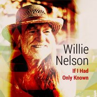 The Ghost - Willie Nelson