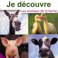 Le lapin - Brigitte Lecordier & Isabelle Ganz & Michel Papineschi & Francoise Wall & Céline Montsarrat & Marianne Pernet