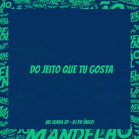 Do Jeito Que Tu Gosta - DJ PK O ÚNICO & MC Luana SP
