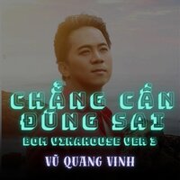 Chẳng Cần Đúng Sai - Vu Quang Vinh