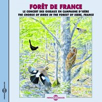 Fauvette à tête noire - Sons De La Nature