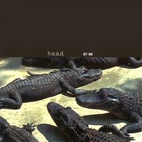 Notorious Dead - Head