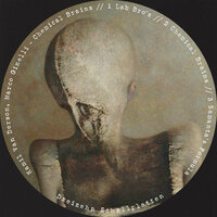 Chemical Brains - Kamil Van Derson & Marco Ginelli