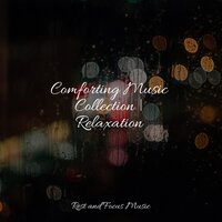 Flowing Chords - The Sleep Specialist & Meditation Music Club & Meditation Music Experience