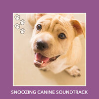 Reflective Pet Sunrise - Relaxing Dog Music