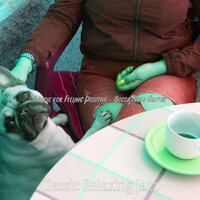 Happy Backdrops for Working in Cafes - Classic Relaxing Jazz