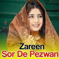 Ma Nan Walida Pa Darwaza Ki - Zareen