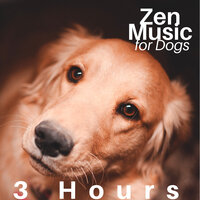 Sleep Now - Asia Hindi