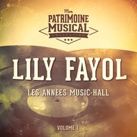 Une aiguille dans un tas de foin - Lily Fayol