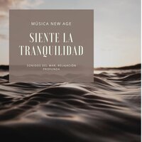 Olas del Océano Suaves - Musica de Relajación Academy