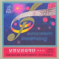 A Girl on a Swing - Pochonbo Electronic Ensemble