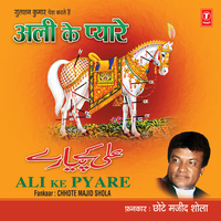 Jhool Masoom Tishna Dehan Jhoolna - Chhote Majid Shola