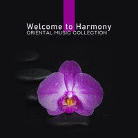 Relaxing Aroma - Massage Beauty Sanctuary