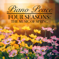 Enchanted - Piano Peace