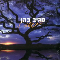 התגשמי לי - Sagiv Cohen