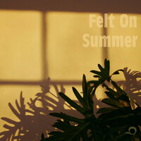 Felt On Summer - Dosi & Swink
